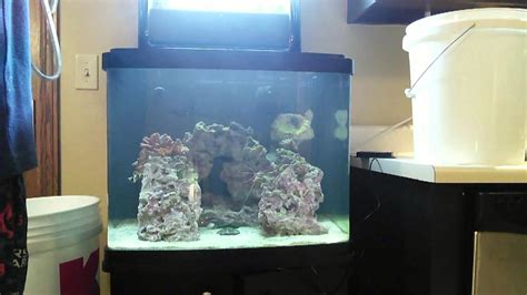 Saltwater Rookie Biocube 29g Performing A Water Change Youtube