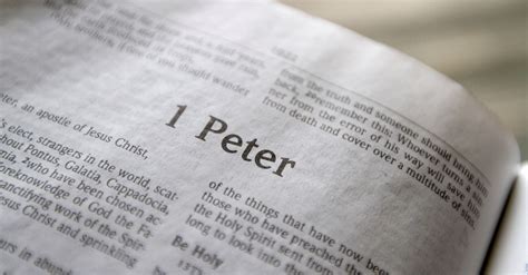 Peter Bible