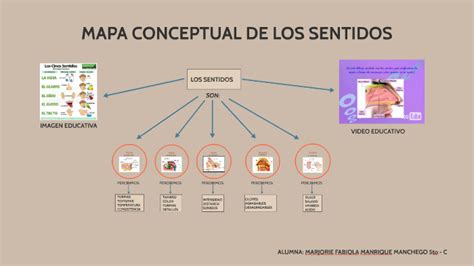 Mapa Mental De Los 5 Sentidos Ilustracion De Cinco Sentidos En Un