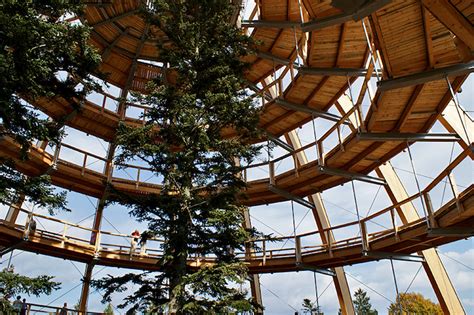 Tree Top Walkway In The Bavarian Forest National Park Inhabitat