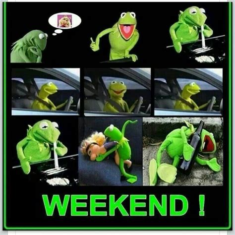 Kermit Der Frosch Meme Kermit The Frog Meme Memes Funny Faces The