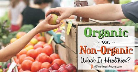 Organic Vs Non Organic Which Is Healthier Ms Wellness Route