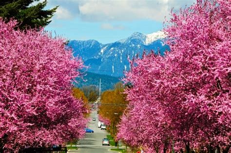 Top 10 Blooming Cities In Spring