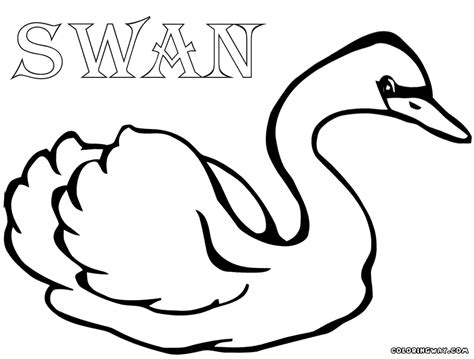 Swan Coloring Pages Coloring Pages To Download And Print