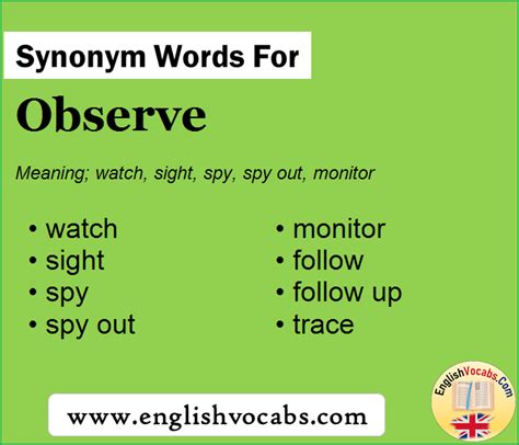 Synonym For Observe What Is Synonym Word Observe English Vocabs
