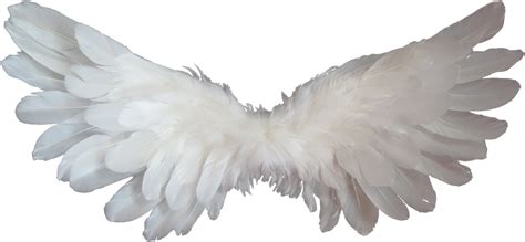 Angel Heaven Clip Art Angel Wings Png Download 1920888 Free