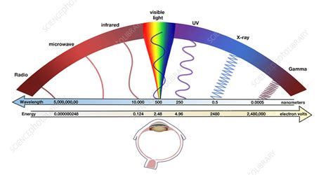 Electromagnetic Spectrum, illustration - Stock Image - C028/1116 - Science Photo Library