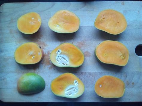 In 2016 Harvest We Found White Or Spongy Tissue In Mango Variety