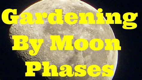 Gardening By Phases Of The Moon Youtube