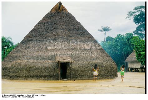 Фотография Marubo Tribe Traditional House Maloka Zhivari River