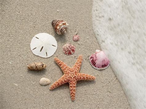 Five Of The Best Beaches For Beachcombing In The Us