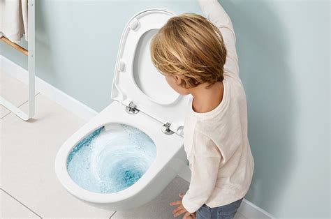 Sponsored The Innovative Toilet Flushing System With Swirl Power