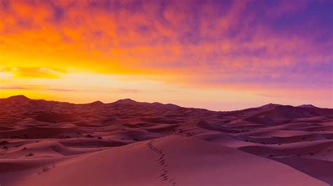 Desert Sunrise Wallpapers 4k Hd Desert Sunrise Backgrounds On