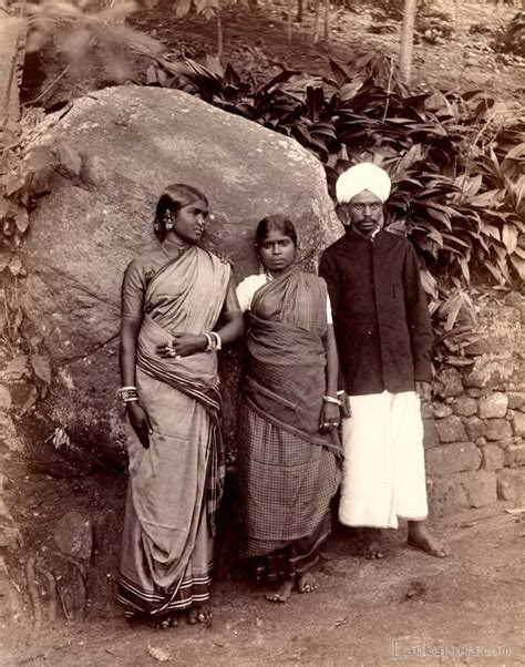 The Plantation Tamils Of Ceylon