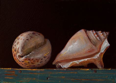 Wang Fine Art Seashells Still Life Painting A Day