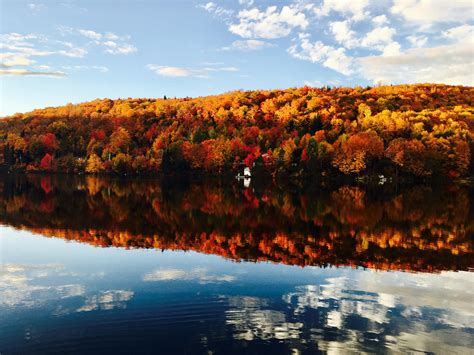 Reflection Of The Foliage On A Clear Lake In Québec Canada Oc