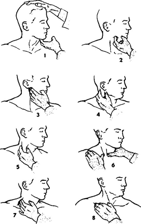 Examination Of The Neck And Throat Lymph Nodes All In One Photos