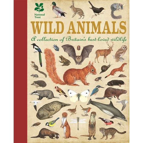 Wild Animals From National Trust British Wildlife Animal Book