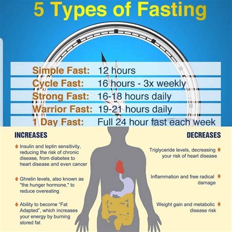 Pin On Intermittent Fasting