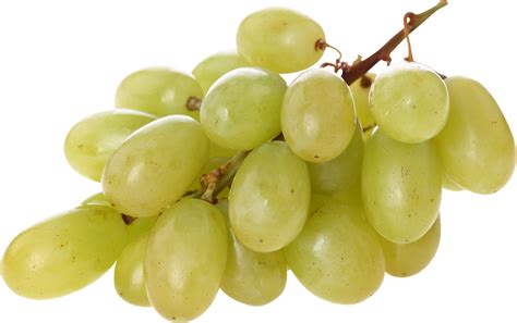Grapes PNG Image | Green grapes, Grapes, Fruit