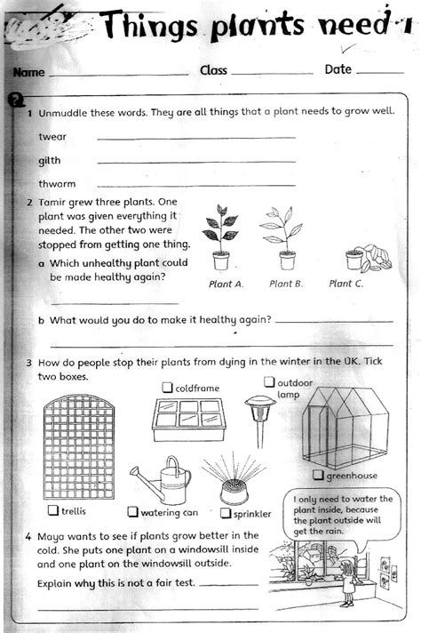 Grade 3 Worksheets