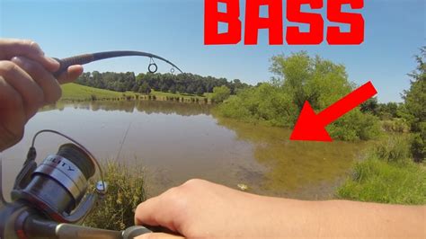 Where do bass go during the fall months, though, and what do you need to do to catch them? BASS Fishing The Hot Summer Days?? - YouTube