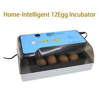 There are many tiny devices such the simplest way is to find them by using our app called bug detector scanner. Hatcher 12Egg Farm Use Household Egg Quail Bird Hatcher ...