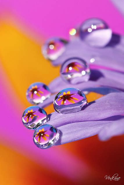 10 Beautiful Water Drop Photography And Ideas The Day Collections
