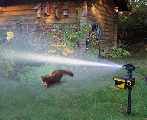 Top 10 Best Motion Activated Sprinklers In 2023 Reviews Last Update