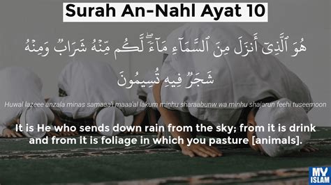 Surah An Nahl Ayat 9 169 Quran With Tafsir My Islam