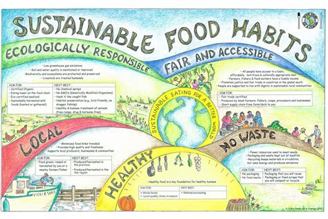 Introducing You Tothe World Of Food Sustainable Food
