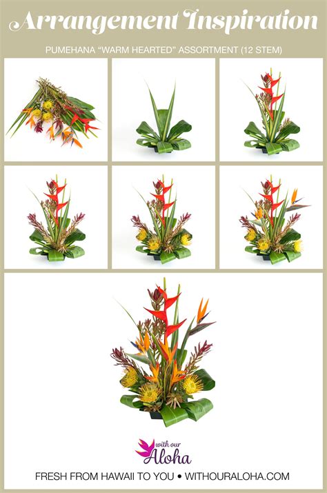 1 coupons and 4 deals which offer up to 10% off , free shipping and extra discount, make sure to. Tropical Flower Arrangement DIY: Pumehana Assortment