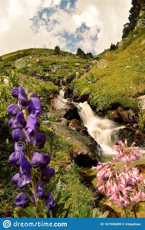 Waterfall With Silk Effect Surrounded By Green Meadows Stock Image