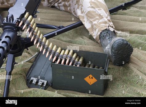 Cartridges For Weapons Stock Photo Alamy