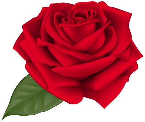 Gaya Terbaru 52 Red Rose Clip Art