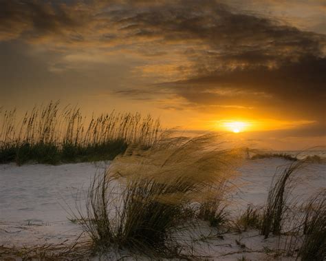 Florida Beach Wind Plants Dune Sun Sunset Winter Hd Wallpaper