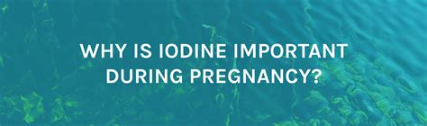 the importance of iodine in your pregnancy diet fittamamma gives advice