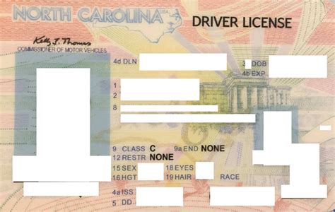 Printable Blank Georgia Drivers License Template Naamiss