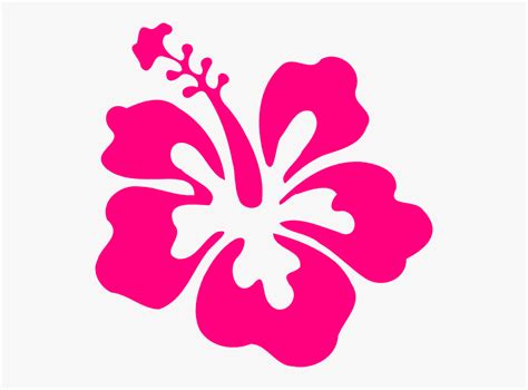 Download High Quality Hibiscus Clipart Pink Transparent Png Images
