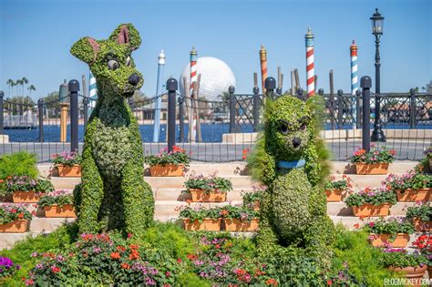 Essential tips for visiting and photographing the super bloom. 2021 Taste of EPCOT Flower and Garden Festival Announced ...