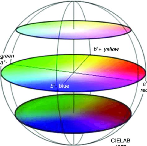 A Representation Of The Cie Lab Color Space Showing Lightness L