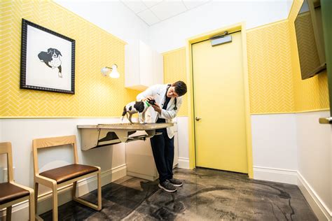 A Millennial and Pet-Friendly Concierge Vet Clinic Opens on H Street
