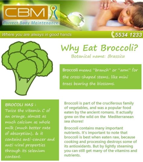 Why Eat Broccoli Correct Body Maintenance
