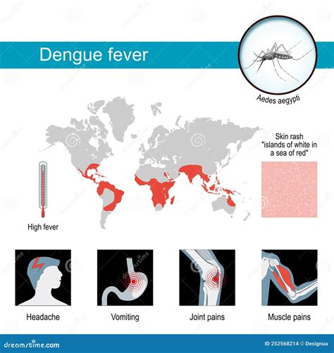 Dengue Fever Symptoms Infographics And Awareness Poster With Map Stock