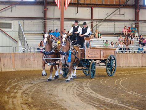 Draft Horse - Topsfield Fair Timeline