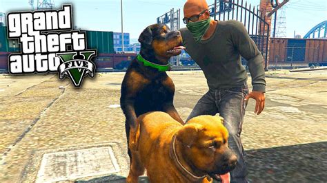 Chop Dogs Gta5 Videos Game Youtube