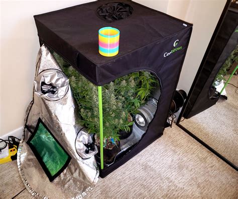 Mini Grow Tent Shopping List And Tutorial 100w Led Grow Weed Easy
