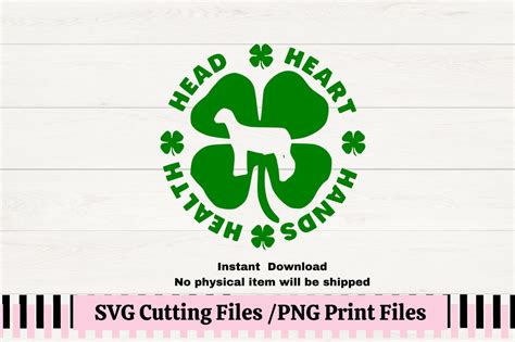 4h Clover Svg For Decals 4h Lamb Showmanship For T Shirts 4h Sheep