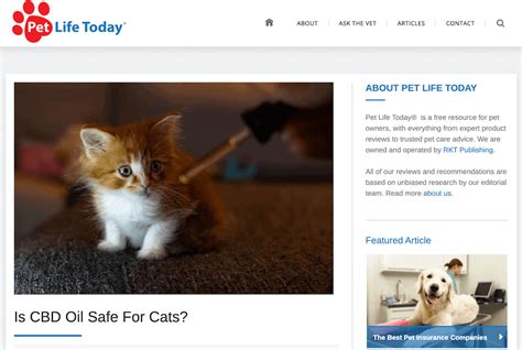 Top 25 Pet Blogs For Animal Lovers In 2023 Pet Keen