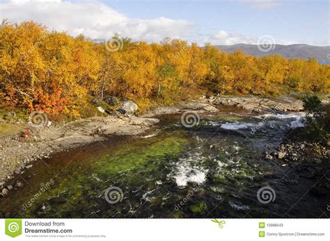 De natuur in zweden is heel veelzijdig. Het Landschap Van De Herfst In Zweden Stock Afbeelding ...